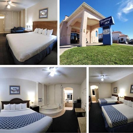 Hotel The Flamingo - South Padre Island Exteriér fotografie